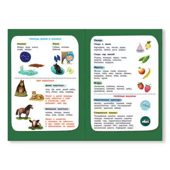 Тетрадь-шпаргалка Феникс окружающий мир