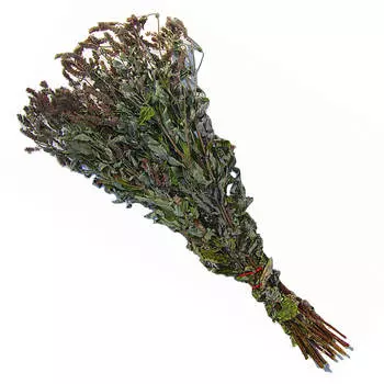 Веник из трав мята бвт-02