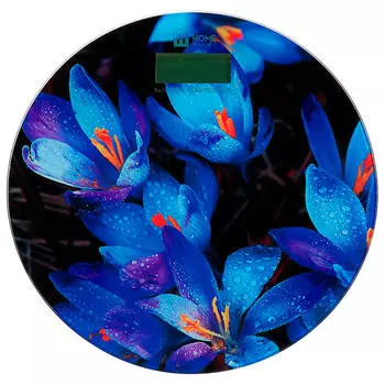 Весы Home Element HE-SC-908 крокусы