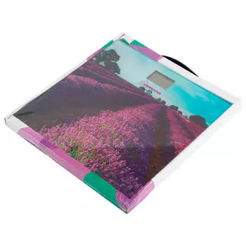 Весы напольные электронные HomeStar 180 кг hs-6001 g