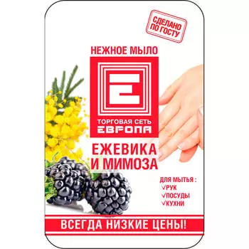 Жидкое мыло Европа 1л ежевика и мимоза