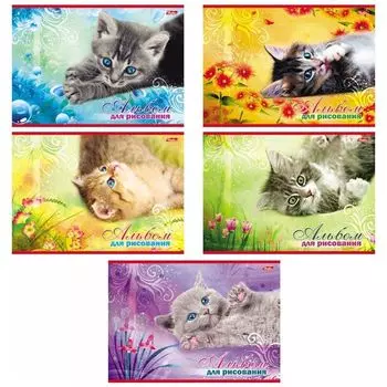 Альбом для рисования Hatber "Котята", 20 л.