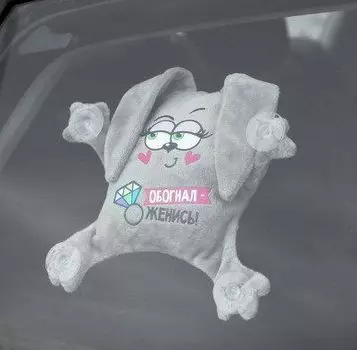 Автоигрушка на присосках "Обогнал - женись", зайка