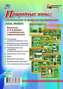Комплект плакатов "Природные зоны: смешанные и широколиственные леса, тайга": 8 плакатов с методическим сопровождением