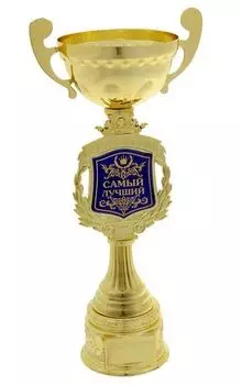 Кубок "Самый лучший"