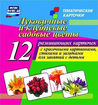 Луковичные и клубневые садовые цветы: 12 развивающих карточек с красочными картинками, стихами и загадками для занятий с детьми