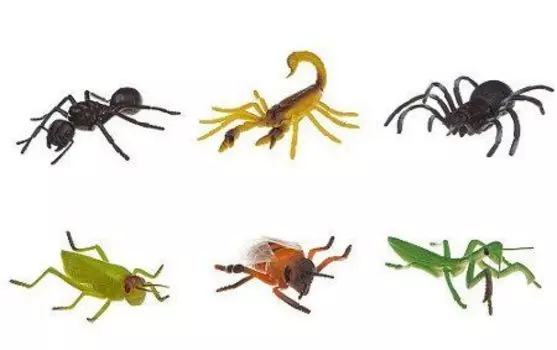 Мир животных Bondibon "Ребятам о зверятах". Насекомые, 6 видов