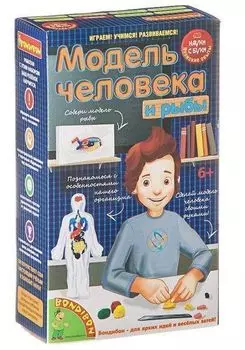 Модель человека. Японские научно-познавательные опыты Науки с Буки Вondibon