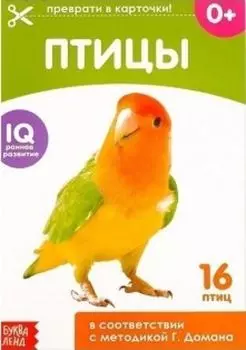 Обучающая книжка по методике Г. Домана "Птицы"
