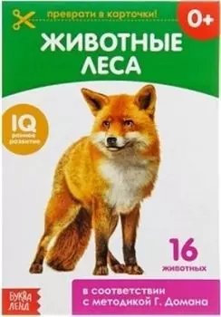 Обучающая книжка "Животные леса"