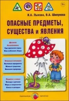 Опасные предметы, существа и явления. Детская безопасность