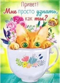 Открытка "Привет. Мне просто узнать, как ты?"
