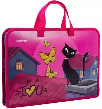 Папка с ручками Berlingo "Кот на крыше", 1 отделение, на молнии