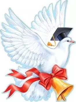 Плакат "Голуби"