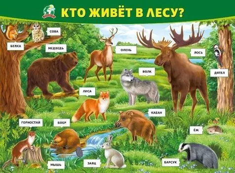 Плакат "Кто живет в лесу?"
