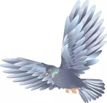 Плакат вырубной "Голубь (серый)": 280х353