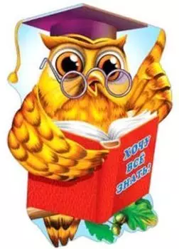 Плакат вырубной "Ученая сова"