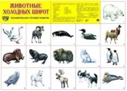 Плакат "Животные холодных широт"