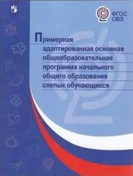 Примерная адаптированная основная общеобразовательная программа начального общего образования слепых обучающихся