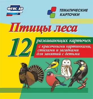 Птицы леса: 12 развивающих карточек с красочными картинками, стихами и загадками для занятий с детьми