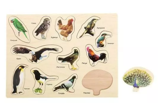 Рамка-вкладыш "Мир птиц"