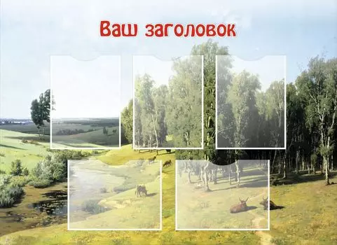 Стенд с 5 карманами: Размер 1,1*0,8 м