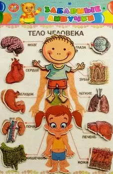 "Тело человека": игра развивающая для детей старше 3-х лет из фетра (игровое поле, фигурки)