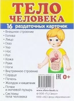 Тело человека. Раздаточные карточки
