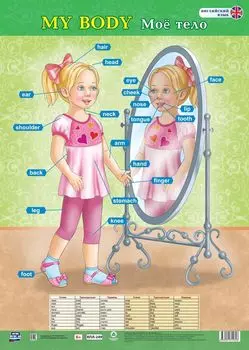 Учебный плакат. Английский язык. My body. Моё тело