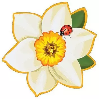 Украшение на скотче "Нарцисс"