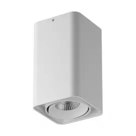 052136-IP65 Светильник MONOCCO LED10W 600LM 30G БЕЛЫЙ 4000K (в комплекте)