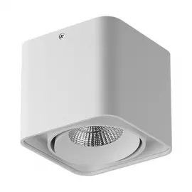 052316-IP65 Светильник MONOCCO LED10W 600LM 30G БЕЛЫЙ 3000K (в комплекте)