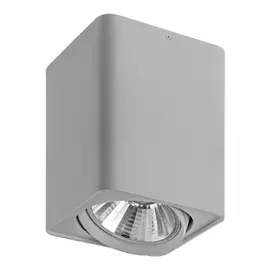 212639 Светильник MONOCCO AR111 СЕРЫЙ (в комплекте)