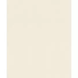 Обои Rasch Passepartout 606324