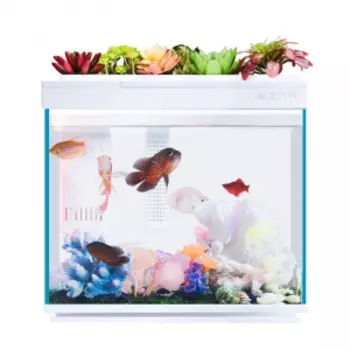 Умный Аквариум Xiaomi AI Smart Modular Fish Tank Amphibious Edition 30L (HF-JHYG006)