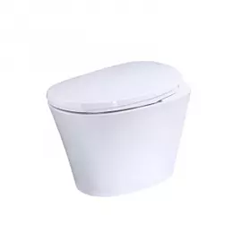 Умный унитаз YouSmart Intelligent Toilet White (R500D)
