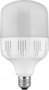 Лампа светодиодная ЭКОНОМКА Eco50whwlede4065