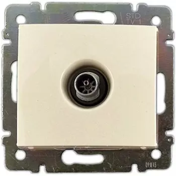 Механизм розетки Legrand 33829