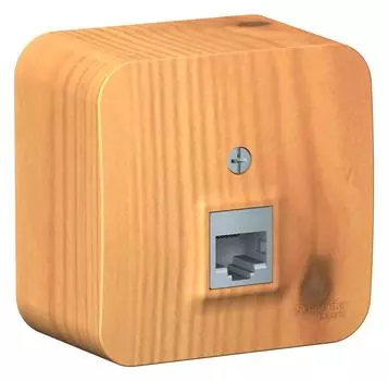 Розетка Schneider electric Blnia045005 blanca