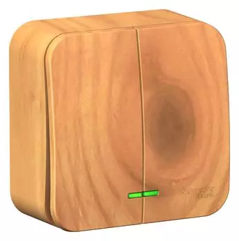 Выключатель Schneider electric Blnva105105 blanca