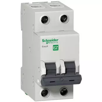 Выключатель Schneider electric Ez9f56250
