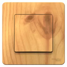 Одноклавишный переключатель Systeme Electric BLANCA BLNVS010605