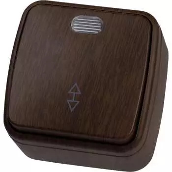 1-клавишный переключатель TDM ELECTRIC Дача Народная SQ1824-0046