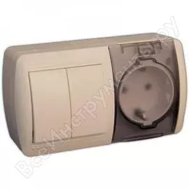 Двухклавишный выключатель и розетка Lezard NATA 710-0300-171