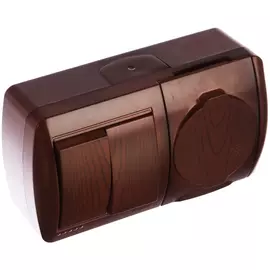 Двухклавишный выключатель и розетка Lezard NATA 710-0600-171