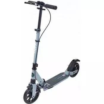 2-х колесный самокат Ridex