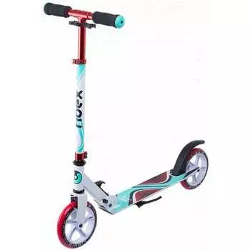 2-х колесный самокат Ridex