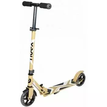 2-х колесный самокат Ridex