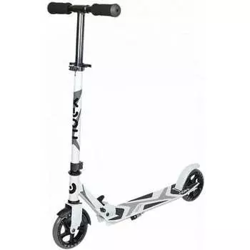 2-х колесный самокат Ridex