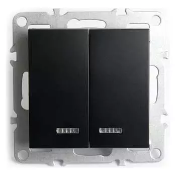 2-клавишный выключатель STEKKER Эрна 49147